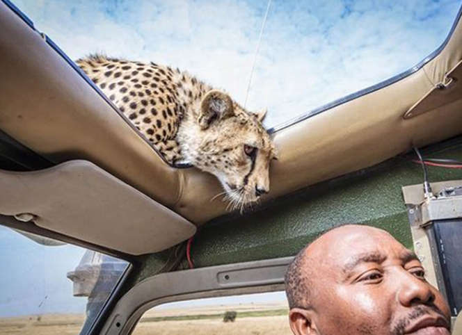 前方危險(xiǎn)！請(qǐng)注意安全！