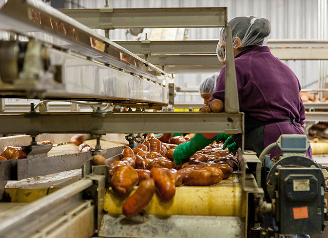 德國原裝進(jìn)口TANA TANEX ceram 特耐工業(yè)用陶瓷磚專用清潔劑